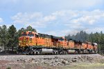 BNSF 7727 West